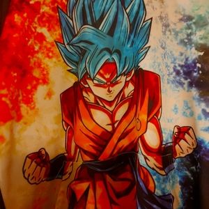Dragonball Z pull over hoodie latge.